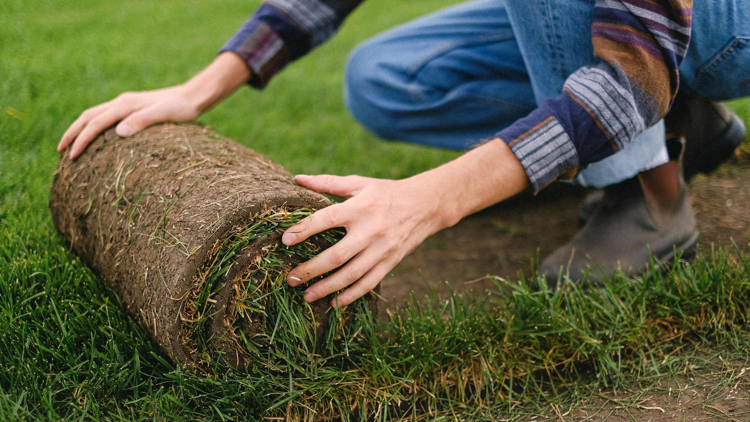 Landscapers at work